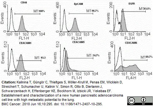 Anti Human CD66e Antibody, clone C365D3 (NCRC23) gallery image 2
