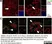 Anti Human CD68 Antibody, clone 514H12 thumbnail image 7
