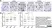 Anti Human CD68 Antibody, clone 514H12 thumbnail image 9