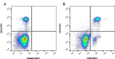 Anti Human CD68 Antibody, clone KP1 gallery image 1