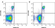 Anti Human CD68 Antibody, clone Y1/82A gallery image 2
