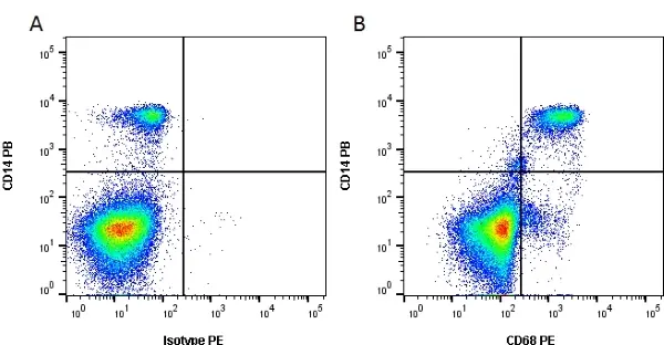 Anti Human CD68 Antibody, clone Y1/82A gallery image 3