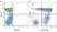 Anti Human CD69 Antibody, clone FN50 thumbnail image 10