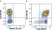 Anti Human CD69 Antibody, clone FN50 thumbnail image 34