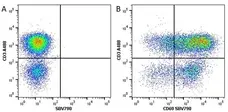 Anti Human CD69 Antibody, clone FN50 gallery image 8