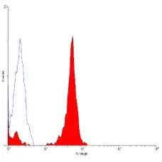 Anti Human CD7 Antibody, clone LT7 gallery image 1
