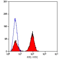 Anti Human CD7 Antibody, clone LT7 gallery image 2