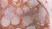Anti Human CD7 Antibody, clone LT7 thumbnail image 3