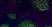 Anti Human CD70 Antibody, clone Bu69 thumbnail image 4