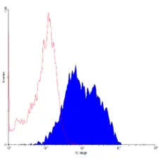 Anti Human CD71 Antibody, clone DF1513 gallery image 1