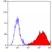 Anti Human CD71 Antibody, clone DF1513 thumbnail image 3