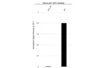 Anti CD71 (soluble) Antibody, clone 13E4 (PrecisionAb Monoclonal Antibody) gallery image 3