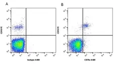 Anti Human CD79a Antibody, clone HM57 gallery image 1