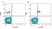 Anti Human CD79a Antibody, clone HM57 thumbnail image 1