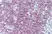 Anti Human CD79a Antibody, clone ZL7-4 thumbnail image 2