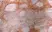 Anti Human CD8 Antibody, clone LT8 thumbnail image 1