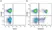 Anti Human CD8 Antibody, clone LT8 thumbnail image 17