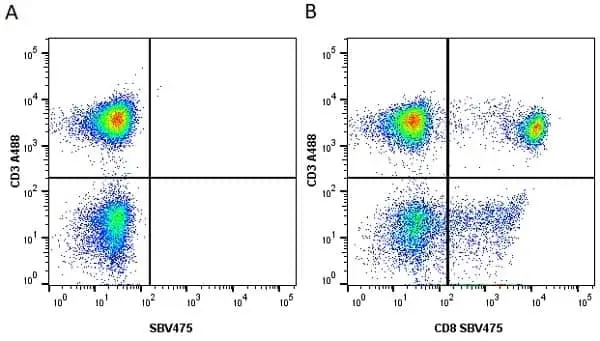 Anti Human CD8 Antibody, clone LT8 gallery image 17