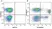 Anti Human CD8 Antibody, clone LT8 thumbnail image 23