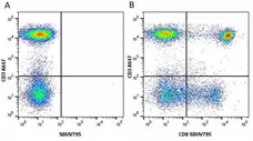 Anti Human CD8 Antibody, clone LT8 gallery image 24
