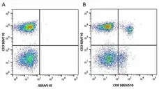 Anti Human CD8 Antibody, clone LT8 gallery image 26