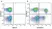 Anti Human CD8 Antibody, clone LT8 thumbnail image 27