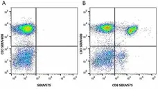 Anti Human CD8 Antibody, clone LT8 gallery image 28