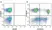 Anti Human CD8 Antibody, clone LT8 thumbnail image 29
