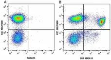 Anti Human CD8 Antibody, clone LT8 gallery image 33