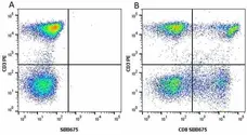 Anti Human CD8 Antibody, clone LT8 gallery image 36