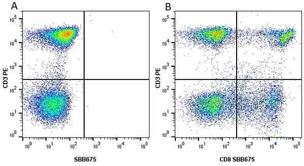Anti Human CD8 Antibody, clone LT8 gallery image 36