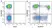 Anti Human CD8 Antibody, clone LT8 thumbnail image 41