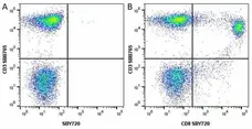 Anti Human CD8 Antibody, clone LT8 gallery image 43