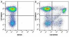 Anti Human CD8 Antibody, clone LT8 gallery image 44