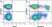 Anti Human CD8 Antibody, clone LT8 thumbnail image 48