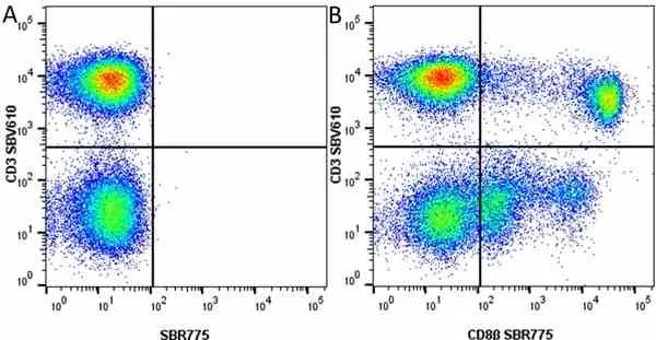 Anti Human CD8 Antibody, clone LT8 gallery image 48