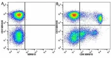 Anti Human CD8 Antibody, clone LT8 gallery image 50