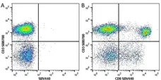 Anti Human CD8 Antibody, clone LT8 gallery image 56