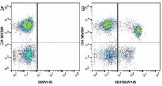 Anti Human CD8 Antibody, clone LT8 gallery image 58