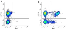 Anti Human CD8 Antibody, clone LT8 gallery image 6
