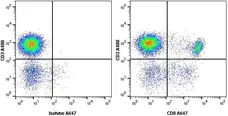 Anti Human CD8 Antibody, clone LT8 gallery image 8