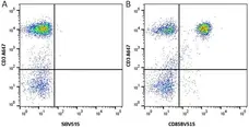 Anti Human CD8 Antibody, clone LT8 gallery image 9