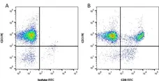 Anti Human CD8 Antibody, clone RPA-T8 gallery image 1