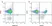 Anti Human CD8 Antibody, clone RPA-T8 thumbnail image 1