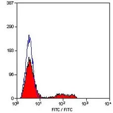 Anti Human CD8 Antibody, clone YTC182.20 gallery image 1