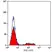 Anti Human CD8 Antibody, clone YTC182.20 thumbnail image 1