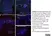 Anti Human CD8 Antibody, clone YTC182.20 thumbnail image 13