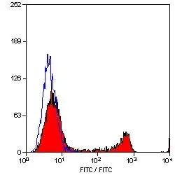 Anti Human CD8 Antibody, clone YTC182.20 gallery image 2