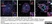 Anti Human CD8 Antibody, clone YTC182.20 thumbnail image 5