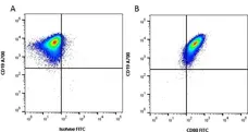 Anti Human CD80 Antibody, clone MEM-233 gallery image 1